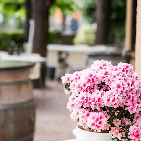 Albergo Hotel Tesserete 3*